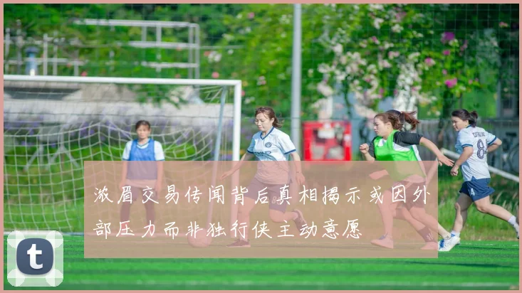 浓眉交易传闻背后真相揭示或因外部压力而非独行侠主动意愿